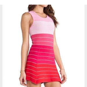 Torn by Ronny Kobo Dress